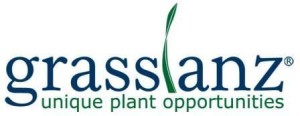Grasslanz