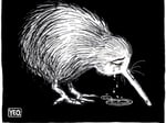 Kia kaha to Christchurch's Muslim community