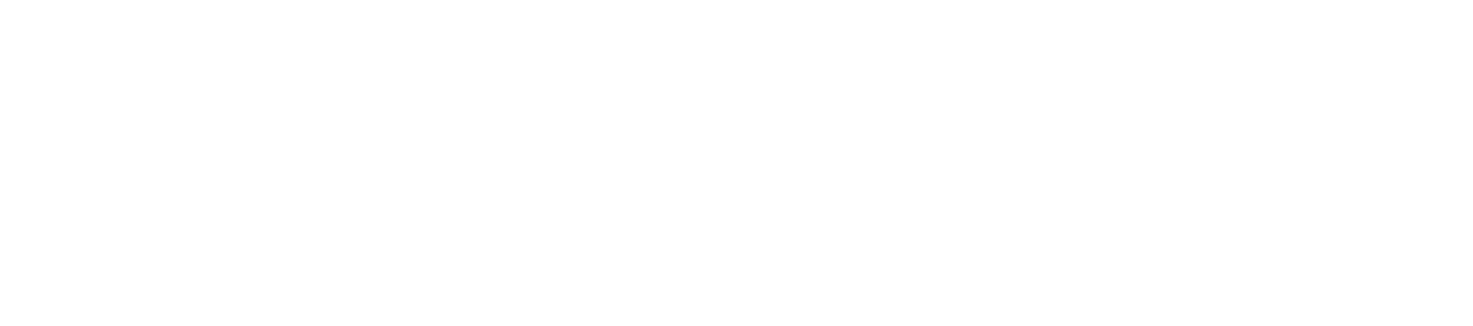 PTminder-Logo-6000x1328-White-TransparentBG