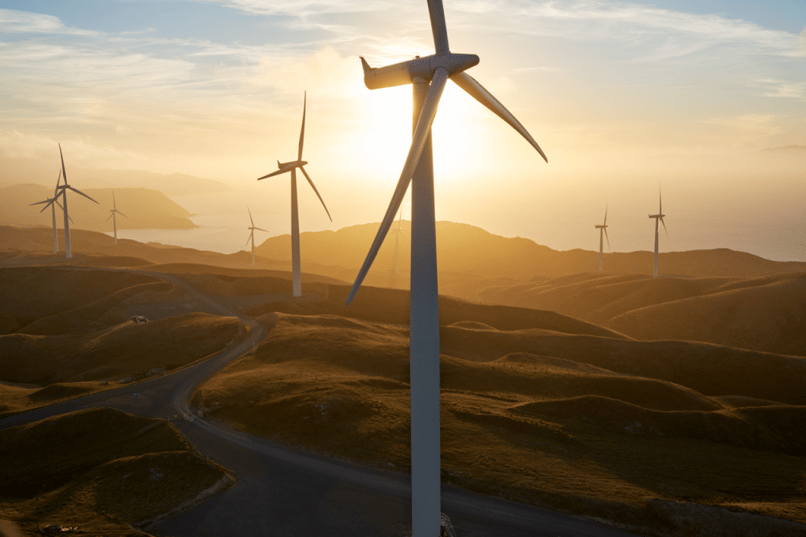 New Zealand technology industry statistics
