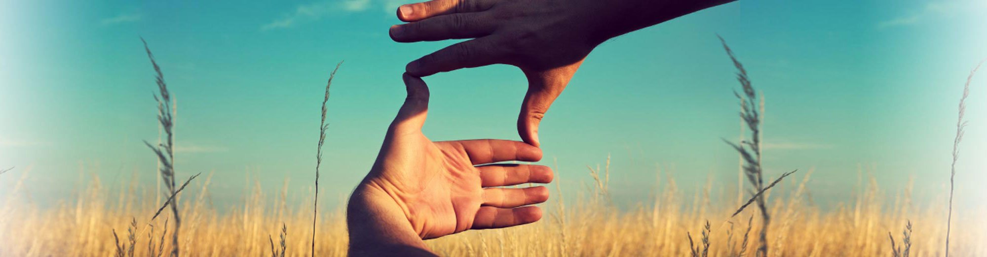 insight-hands_2600x522
