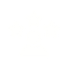 NC - Icons Website (6)