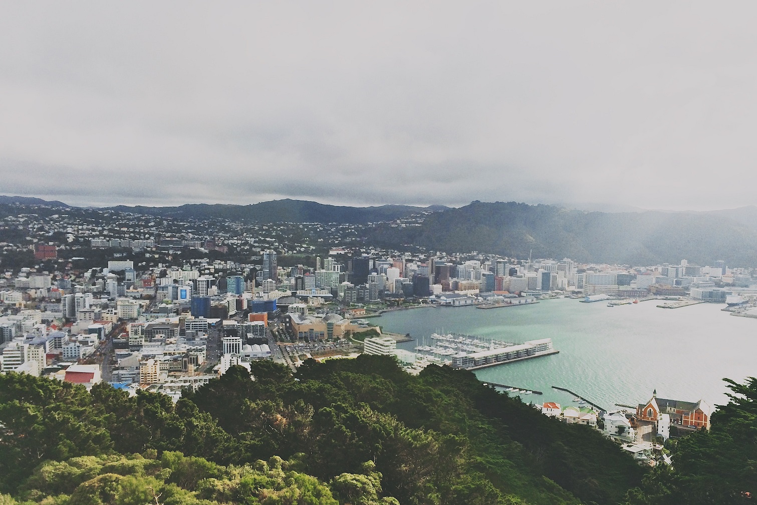 pat-ho-2FCVdvwqmGg-unsplash