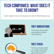 Tech Companies: What does it take to grow (five themes)?