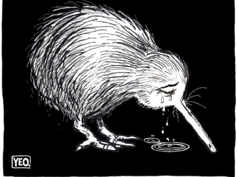 Crying Kiwi